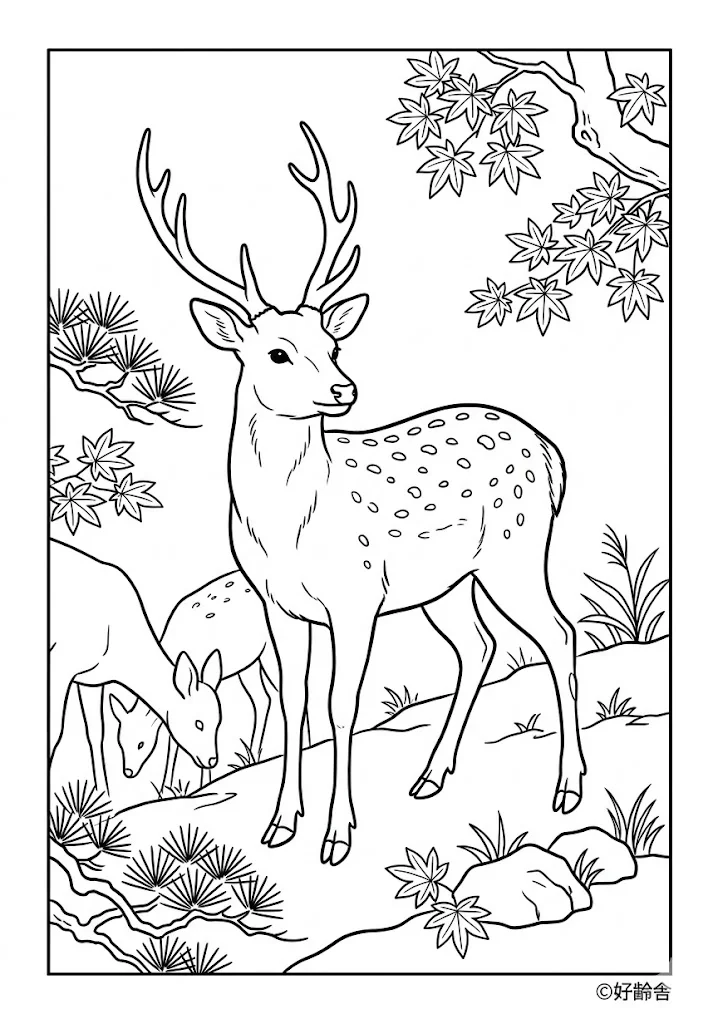 高齢者向け無料塗り絵：鹿（中級・A4印刷用）