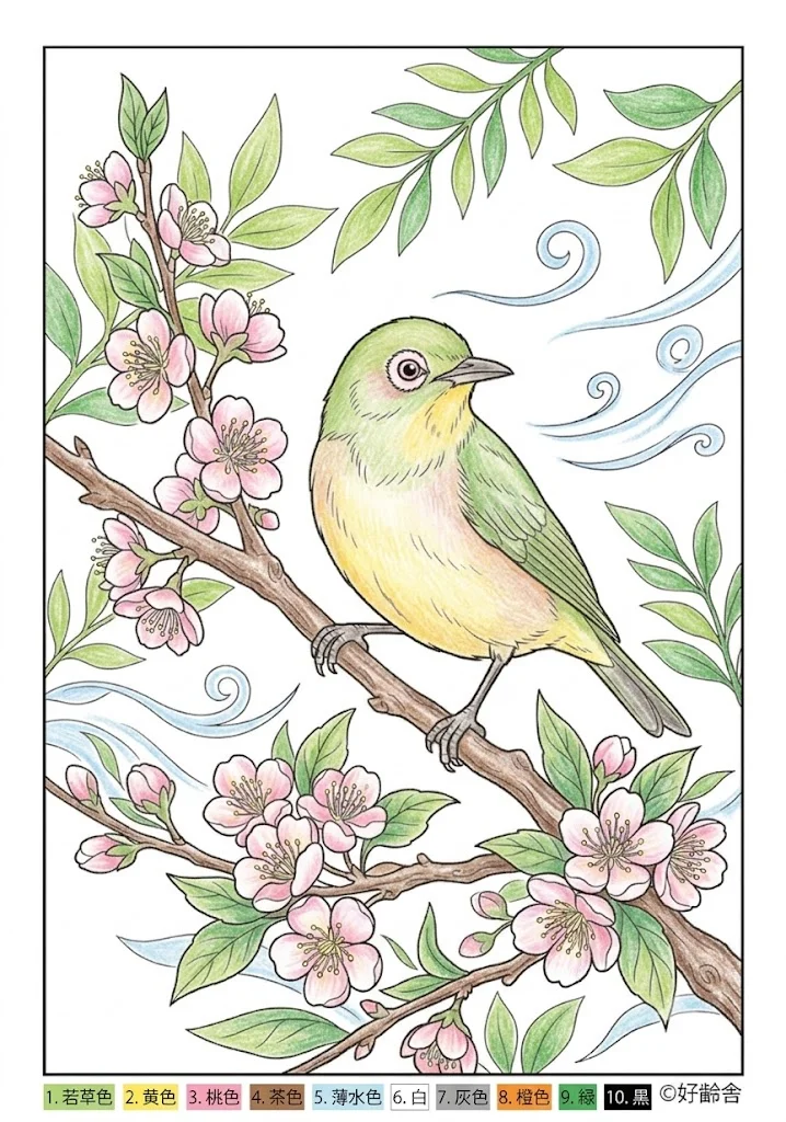 メジロの塗り絵 完成見本（彩色の見本）