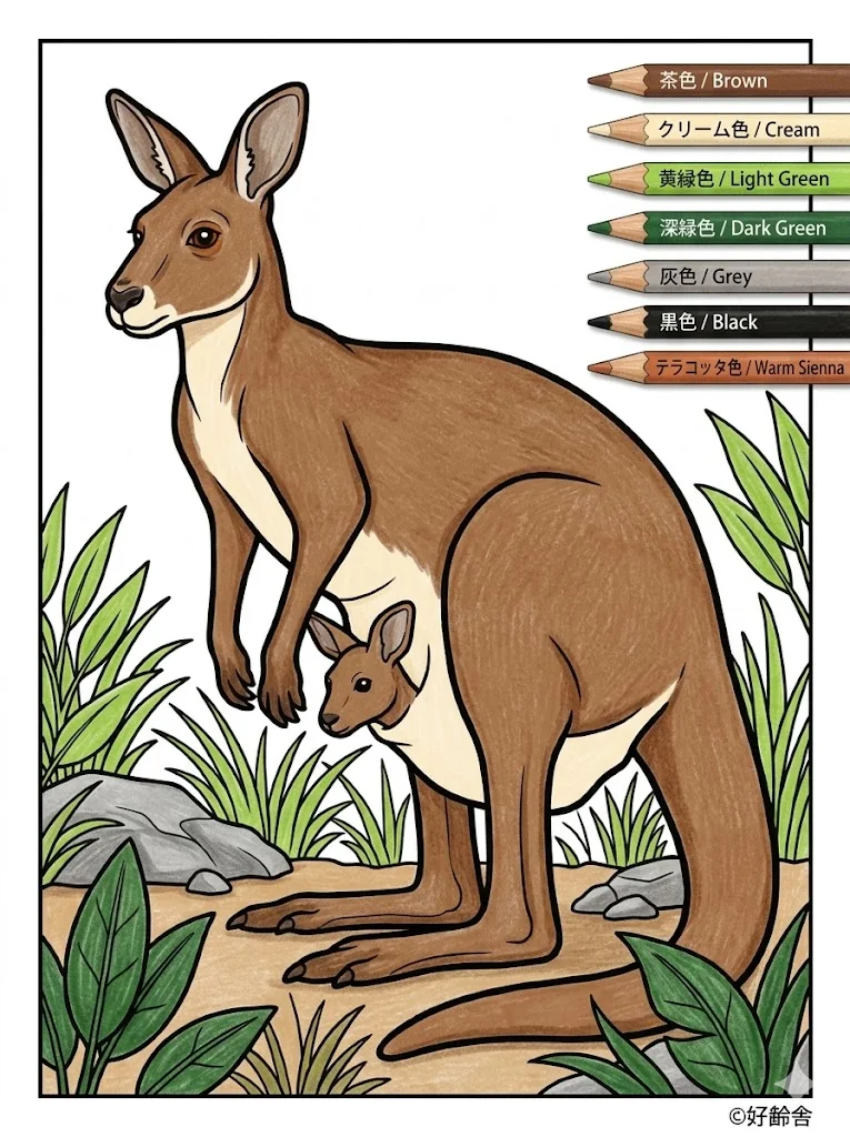 カンガルーの塗り絵 完成見本（彩色の見本）