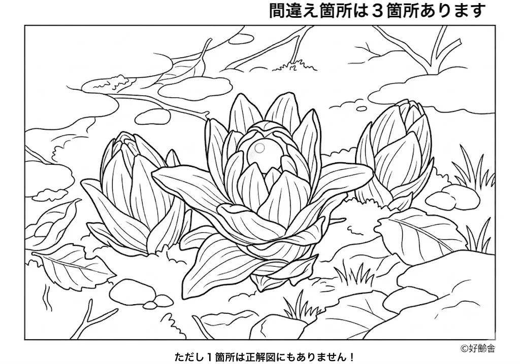 高齢者向け無料間違え探し：ふきのとう