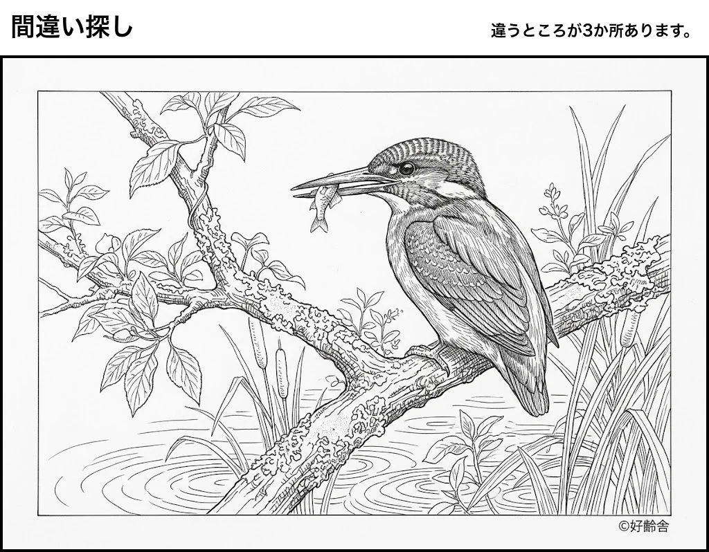 高齢者向け無料間違え探し：カワセミ