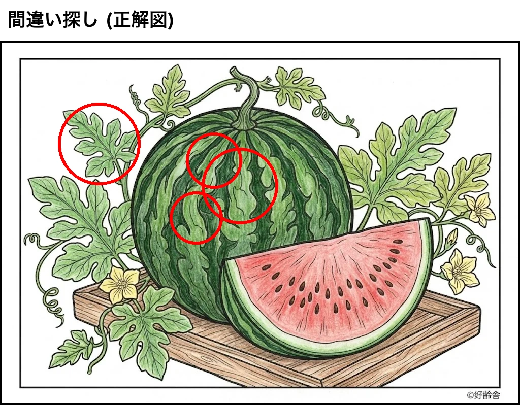 正解見本：すいか