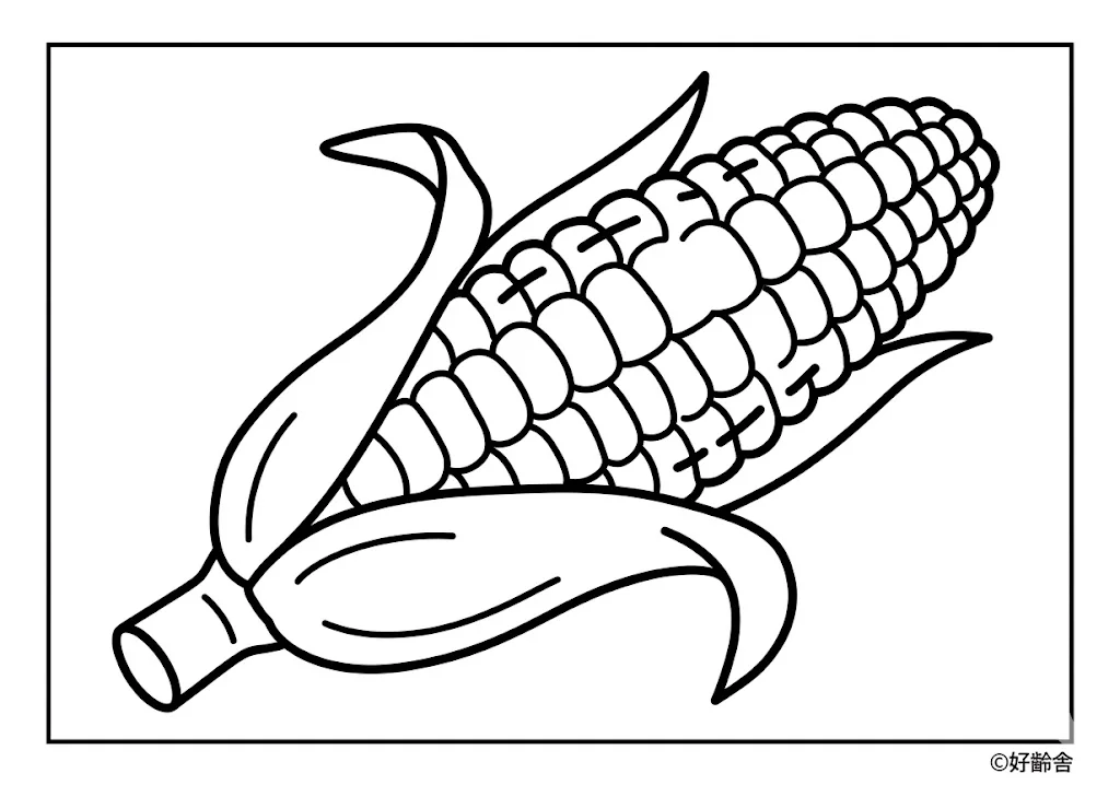 とうもろこし ｜ 高齢者向け無料塗り絵
