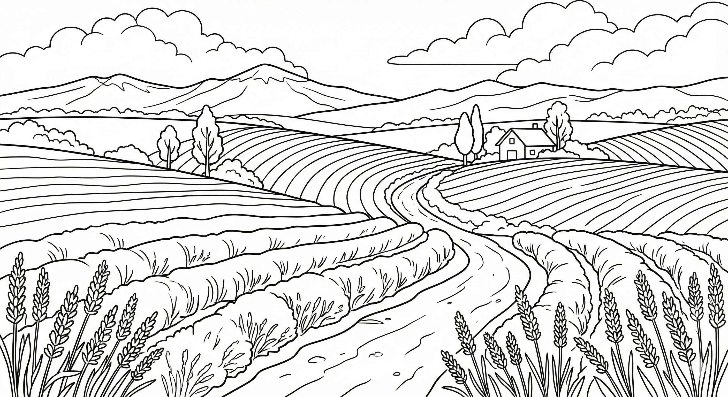 富良野（中級）