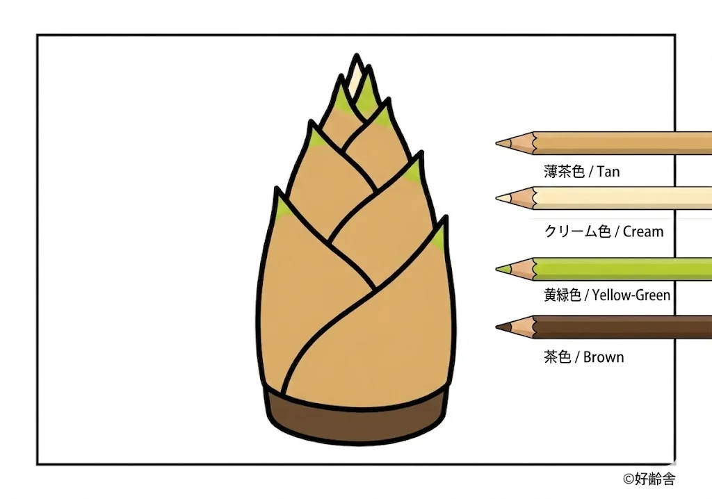 たけのこの塗り絵 完成見本(カラーサンプル・高齢者レク用)