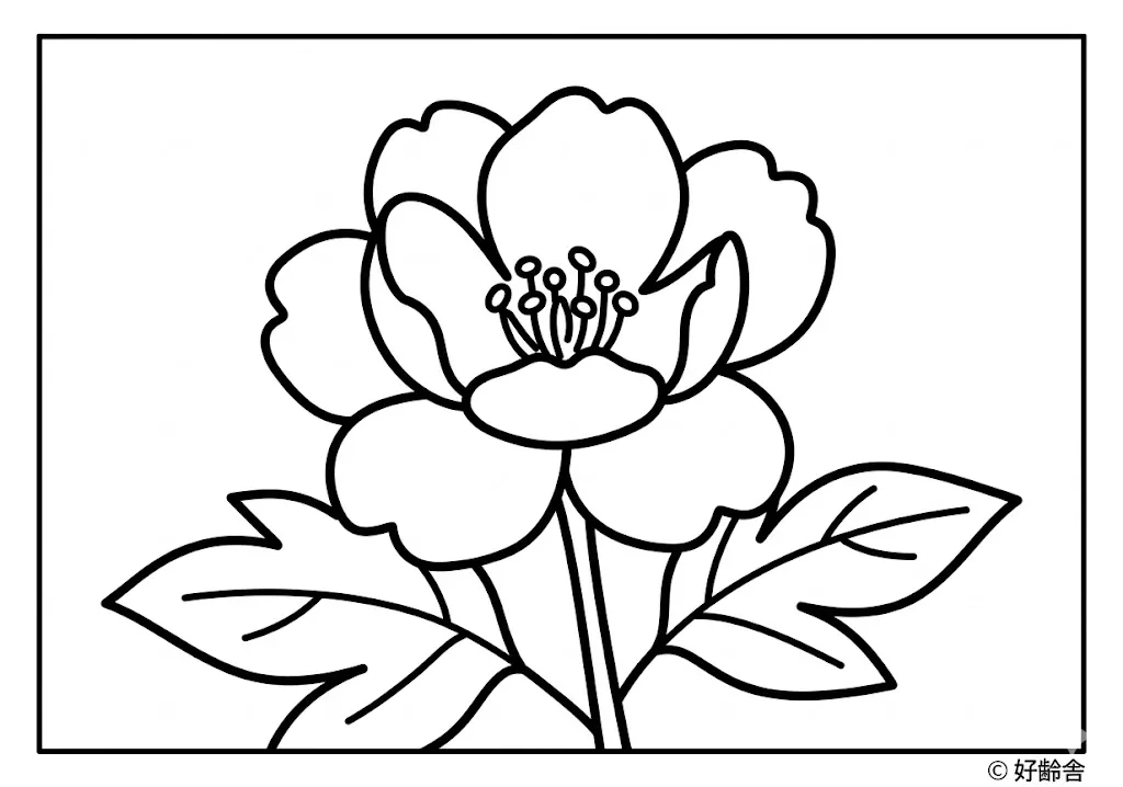 高齢者向け無料塗り絵:牡丹(A4印刷用・脳トレ介護レク)