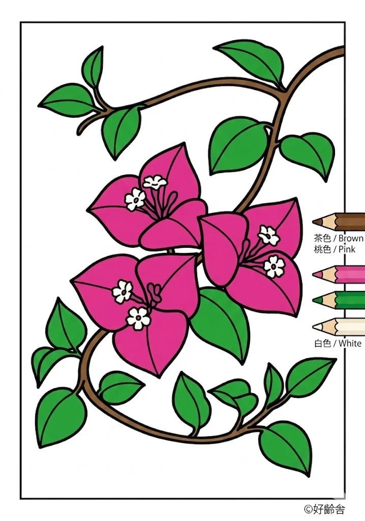 ブーゲンビリアの塗り絵 完成見本(カラーサンプル・高齢者レク用)