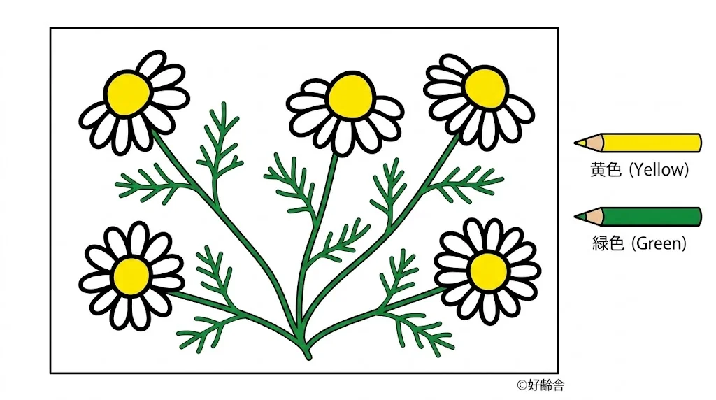 カモミールの塗り絵 完成見本(カラーサンプル・高齢者レク用)