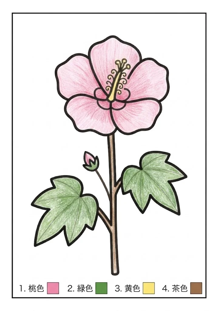 フヨウの塗り絵 完成見本(カラーサンプル・高齢者レク用)