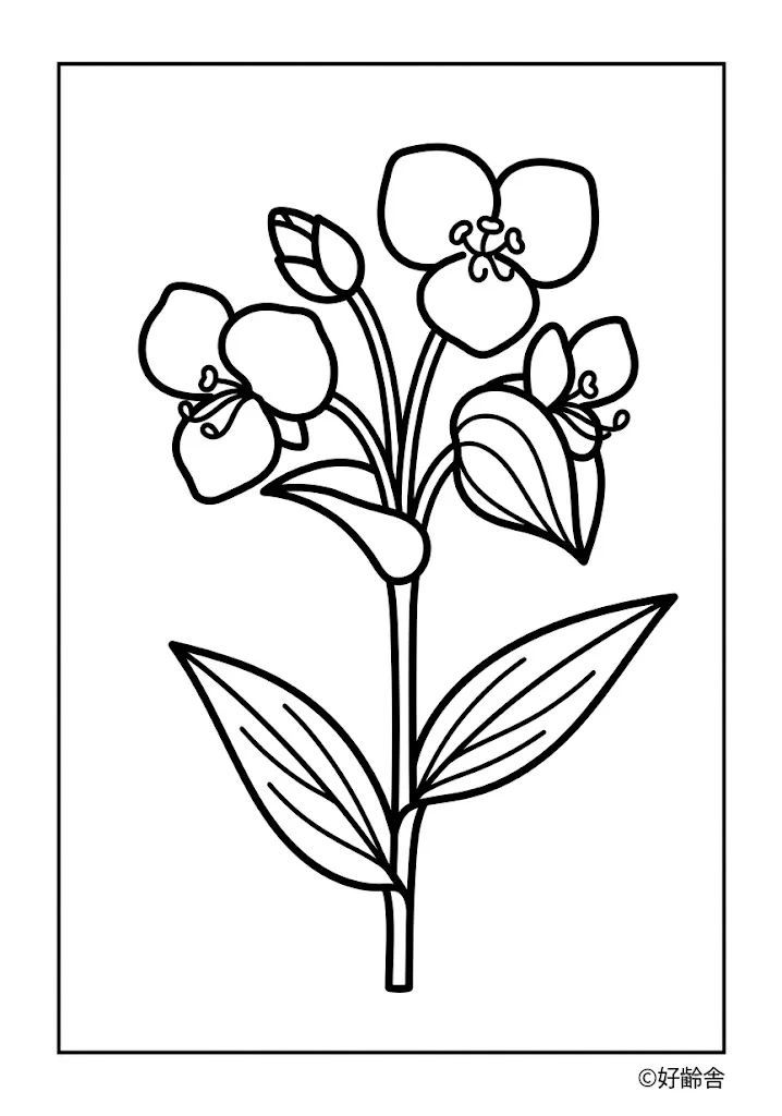 高齢者向け無料塗り絵:露草(A4印刷用・脳トレ介護レク)