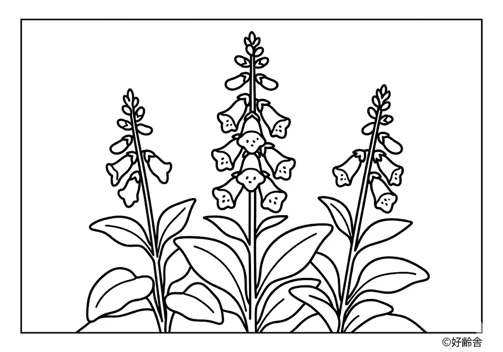 高齢者向け無料塗り絵:デジタリス(A4印刷用・脳トレ介護レク)
