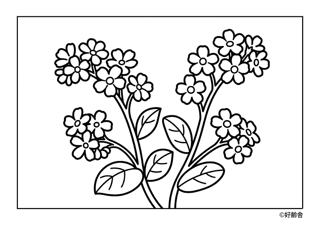 高齢者向け無料塗り絵:忘れな草(A4印刷用・脳トレ介護レク)