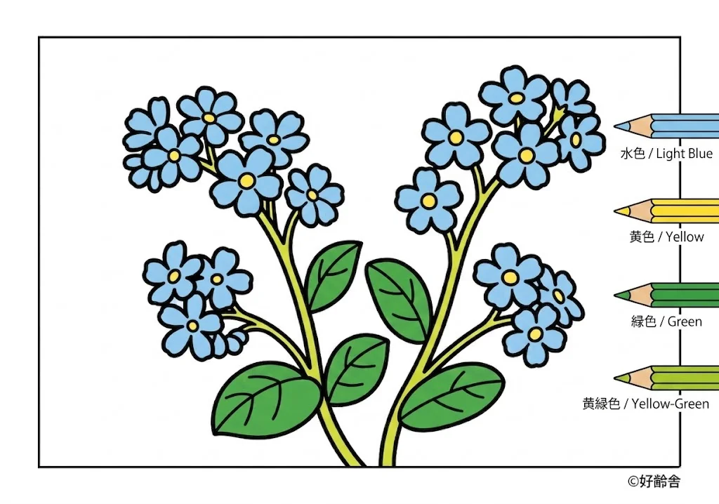 忘れな草の塗り絵 完成見本(カラーサンプル・高齢者レク用)
