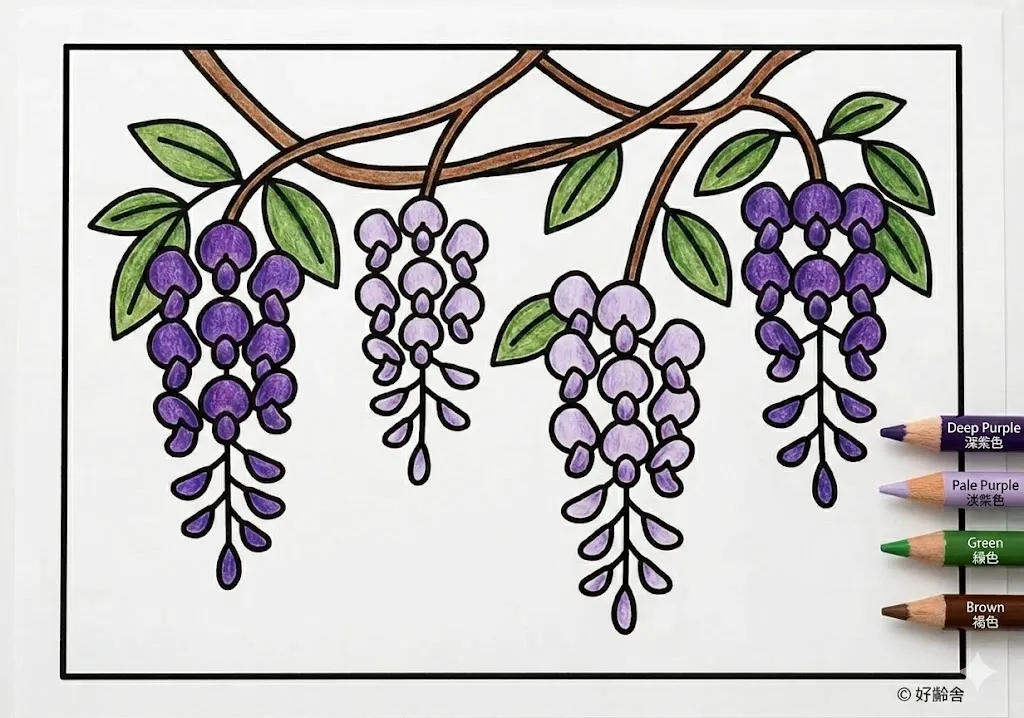 藤の花の塗り絵 完成見本(カラーサンプル・高齢者レク用)