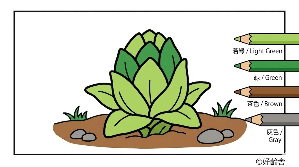 ふきのとうの塗り絵 完成見本(カラーサンプル・高齢者レク用)
