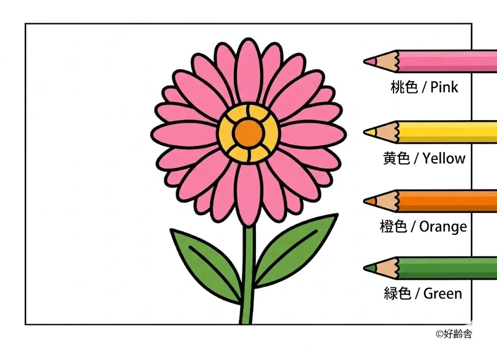 ガーベラの塗り絵 完成見本(カラーサンプル・高齢者レク用)