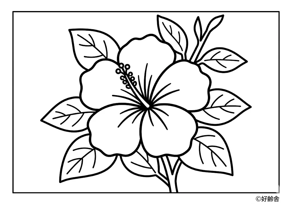 高齢者向け無料塗り絵:ハイビスカス(A4印刷用・脳トレ介護レク)