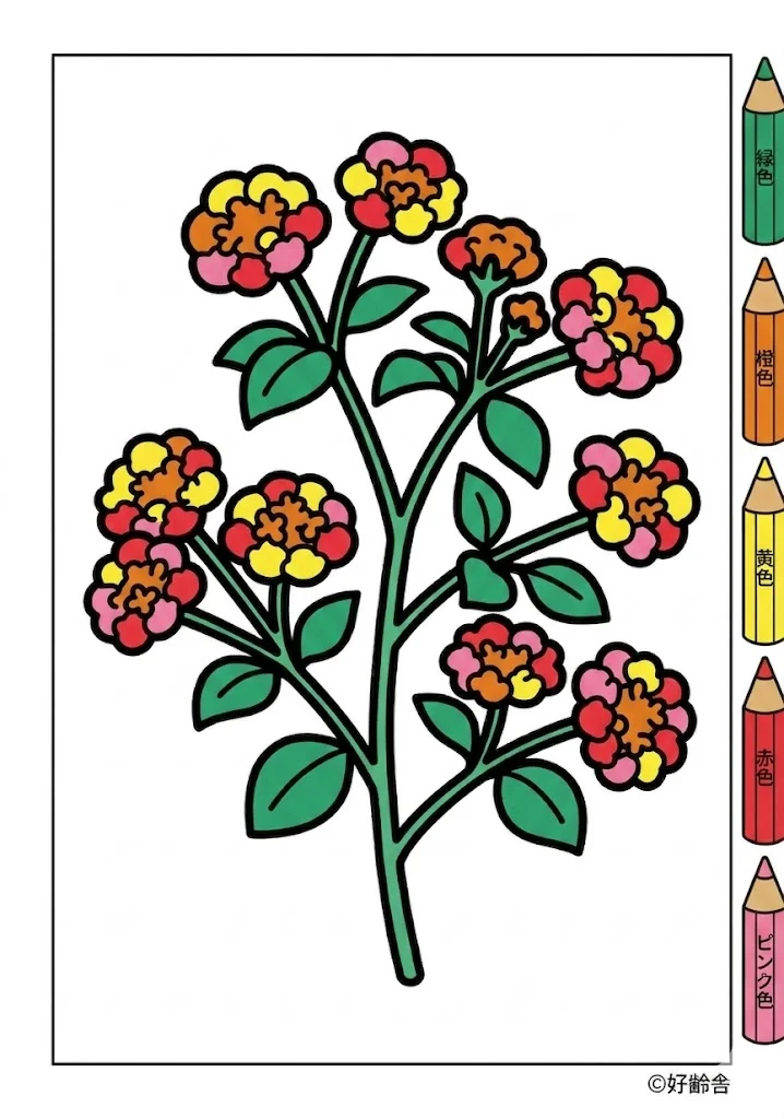 ランタナの塗り絵 完成見本(カラーサンプル・高齢者レク用)