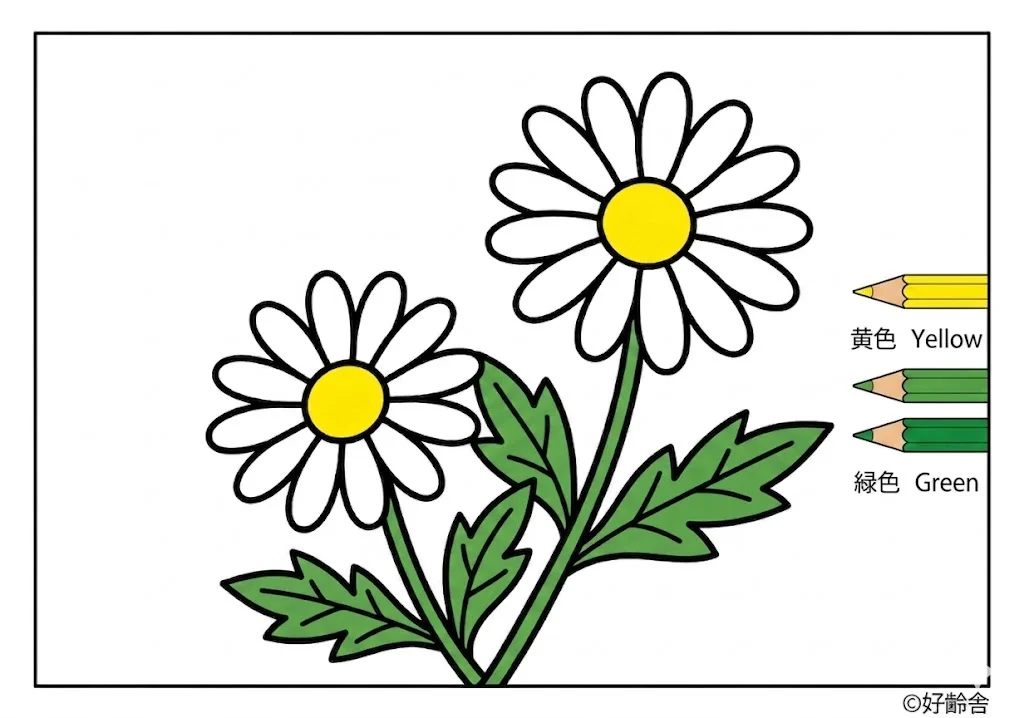 マーガレットの塗り絵 完成見本(カラーサンプル・高齢者レク用)