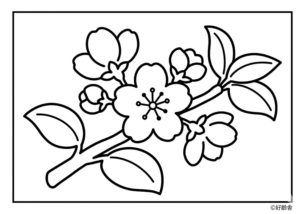高齢者向け無料塗り絵:桃の花(A4印刷用・脳トレ介護レク)