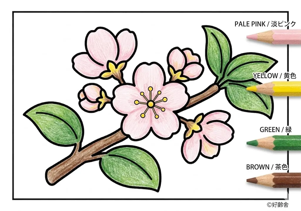 桃の花の塗り絵 完成見本(カラーサンプル・高齢者レク用)