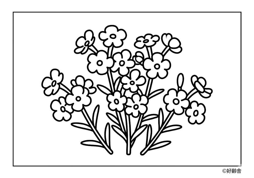 高齢者向け無料塗り絵：シバザクラ（A4印刷用・脳トレ介護レク）