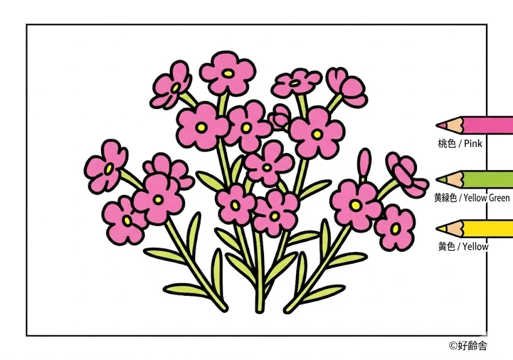 シバザクラの塗り絵 完成見本（カラーサンプル・高齢者レク用）
