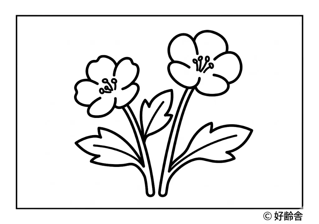 高齢者向け無料塗り絵:ネモフィラ(A4印刷用・脳トレ介護レク)