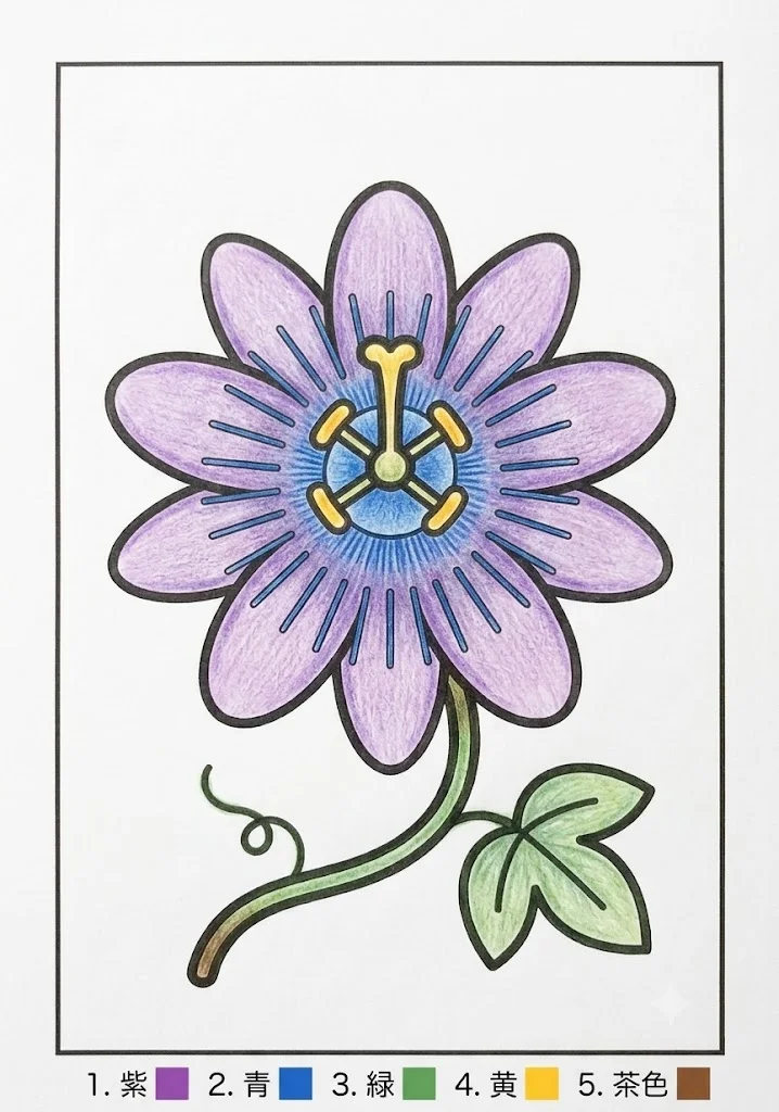 トケイソウの塗り絵 完成見本(カラーサンプル・高齢者レク用)