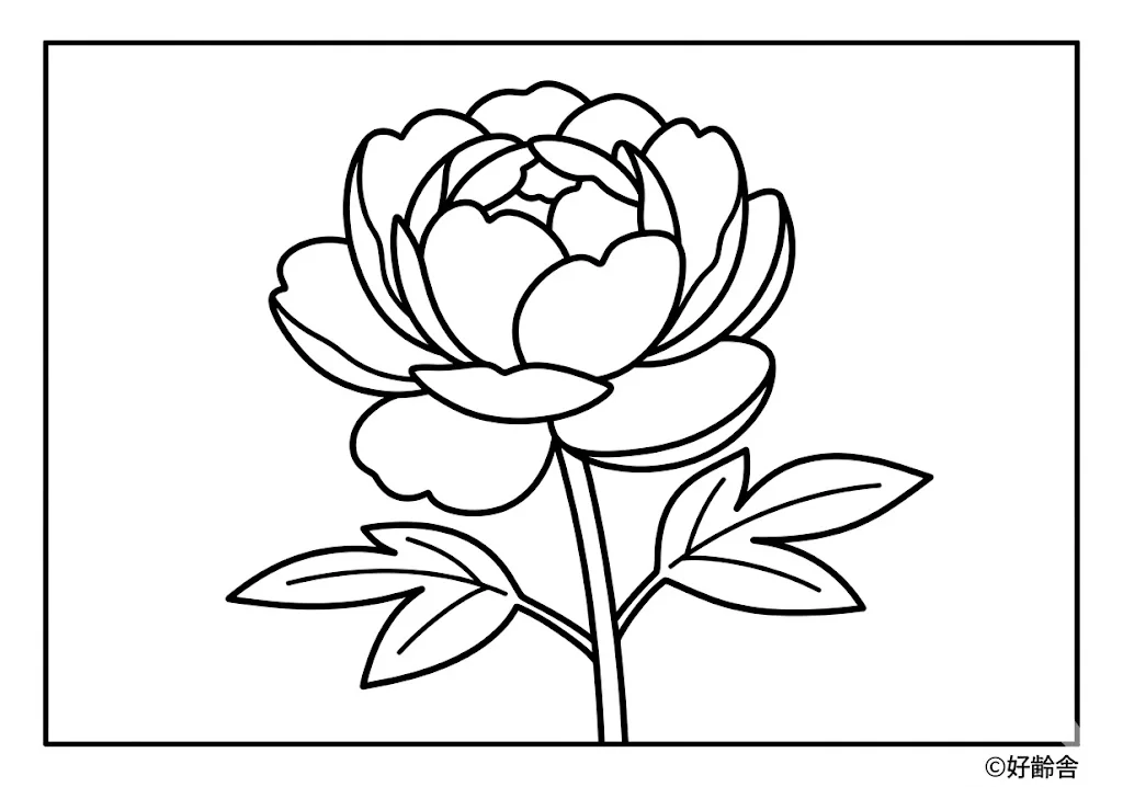 高齢者向け無料塗り絵:芍薬(A4印刷用・脳トレ介護レク)