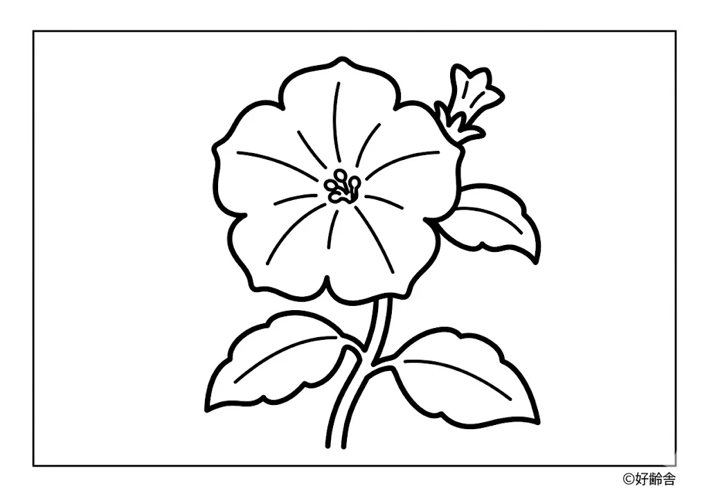 高齢者向け無料塗り絵:ペチュニア(A4印刷用・脳トレ介護レク)