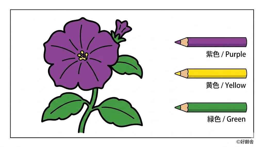 ペチュニアの塗り絵 完成見本(カラーサンプル・高齢者レク用)