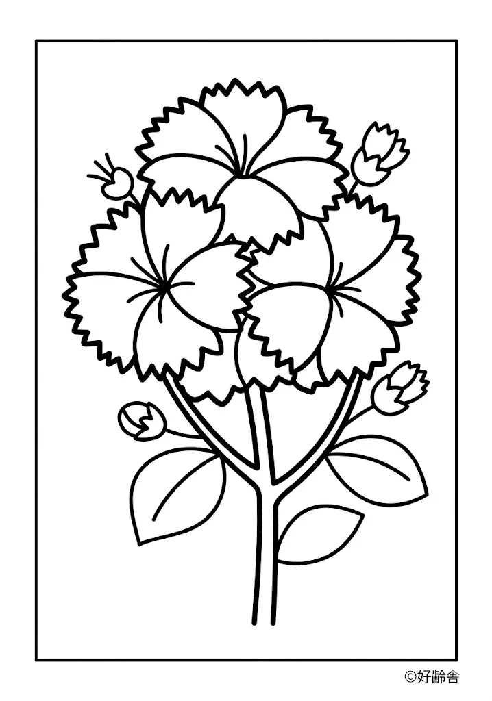 高齢者向け無料塗り絵：撫子（A4印刷用・脳トレ介護レク）