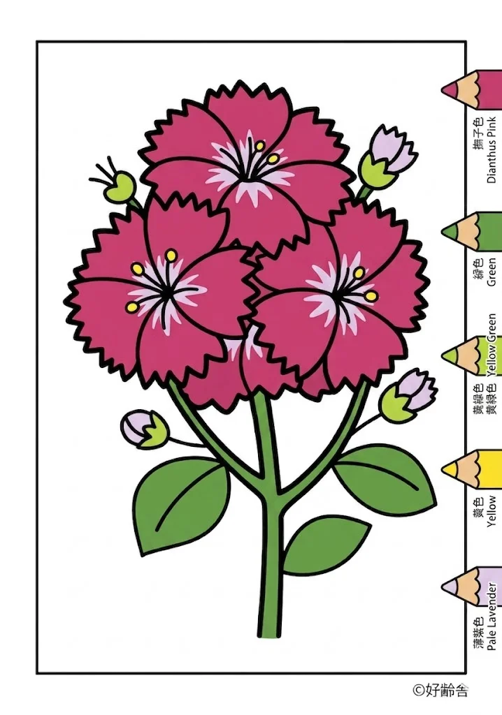 撫子の塗り絵 完成見本（カラーサンプル・高齢者レク用）