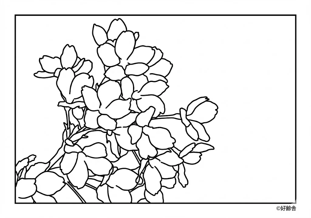 高齢者向け無料塗り絵:桜の花(A4印刷用・脳トレ介護レク)