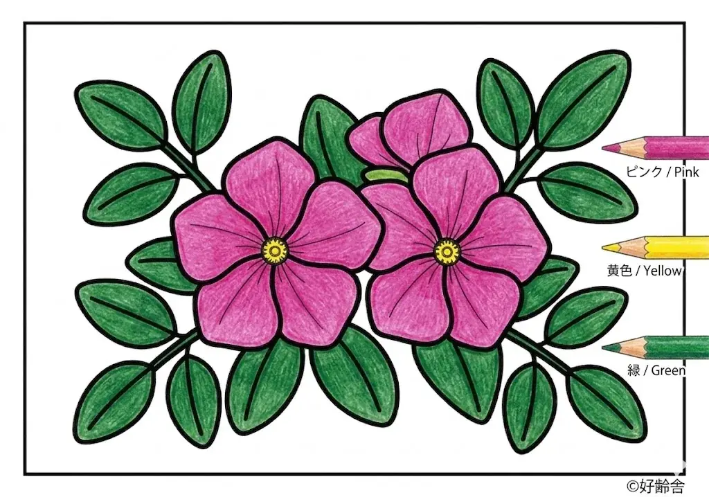 ニチニチソウの塗り絵 完成見本(カラーサンプル・高齢者レク用)